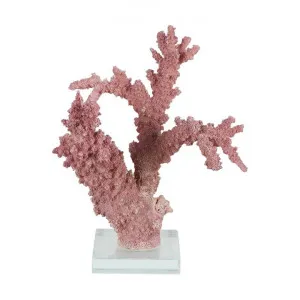 Florida Coral Sculpture, Mauve by Florabelle, a Statues & Ornaments for sale on Style Sourcebook