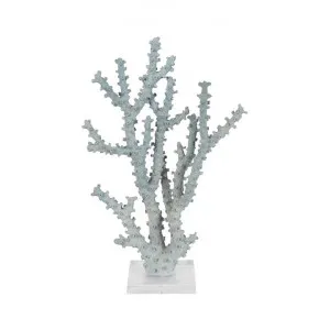 Santa Monica Coral Sculpture, Large by Florabelle, a Statues & Ornaments for sale on Style Sourcebook
