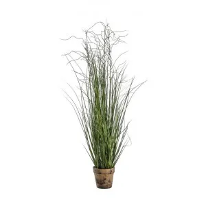 Maresso Potted Artificial Onion Grass, 100cm by Casa Bella, a Plants for sale on Style Sourcebook