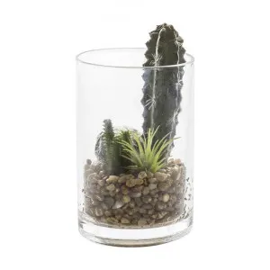 Nokou Artificial Cactus Garden In Glass by Casa Bella, a Plants for sale on Style Sourcebook