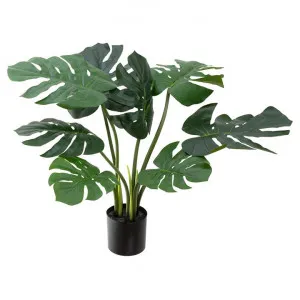 Glamorous Fusion Potted Artificial Monstera Vine Plant, 70cm by Glamorous Fusion, a Plants for sale on Style Sourcebook