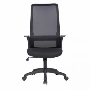 Cardrona Mesh Fabric Office Chair by Conception Living, a Chairs for sale on Style Sourcebook