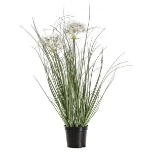 Haddon Potted Artificial Grass, Type D by Casa Bella, a Plants for sale on Style Sourcebook