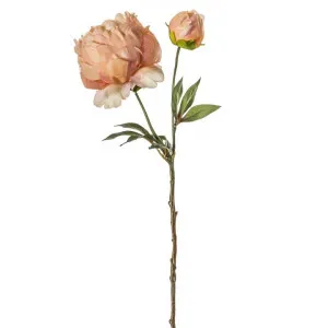 Hunstanton Artificial Peony Stem, Pack of 3, Peach Flower by Casa Bella, a Plants for sale on Style Sourcebook