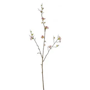 Hunstanton Artificial Cherry Blossom Stem, Pack of 3, Powder Pink Flower by Casa Bella, a Plants for sale on Style Sourcebook