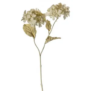 Hunstanton Dried Look Artificial Hydrangea Spray, Pack of 3 by Casa Bella, a Plants for sale on Style Sourcebook