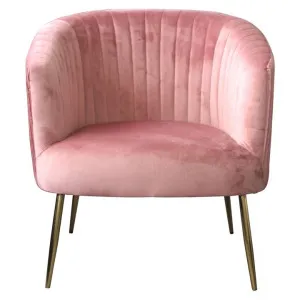 Kenosha Velvet Fabric Tub Chair, Blush / Gold by Brighton Home, a Chairs for sale on Style Sourcebook