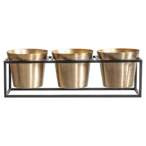 Copthrone Metal Planter, Triple by Casa Bella, a Plant Holders for sale on Style Sourcebook