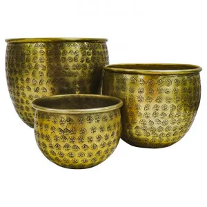 Zarre 3 Piece Metal Pot Planter Set, Antique Brass by Searles, a Plant Holders for sale on Style Sourcebook
