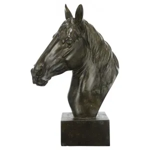 Corsica Equine Head Sculpture by Affinity Furniture, a Statues & Ornaments for sale on Style Sourcebook
