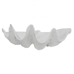 Avoca Clam Shell Sculpture Decor, 51cm, White by Hearth & Home, a Statues & Ornaments for sale on Style Sourcebook