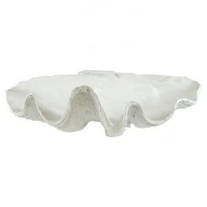 Avoca Clam Shell Sculpture Decor, 68cm, White by Hearth & Home, a Statues & Ornaments for sale on Style Sourcebook