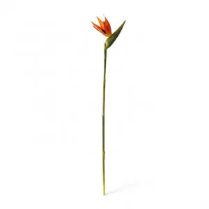 Bird of Paradise Stem - 23 x 12 x 100cm by Elme Living, a Plants for sale on Style Sourcebook