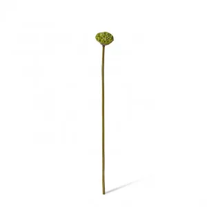 Lotus Pod Stem - 8 x 8 x 74cm by Elme Living, a Plants for sale on Style Sourcebook