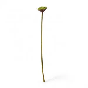 Lotus Pod Stem - 11 x 11 x 78cm by Elme Living, a Plants for sale on Style Sourcebook