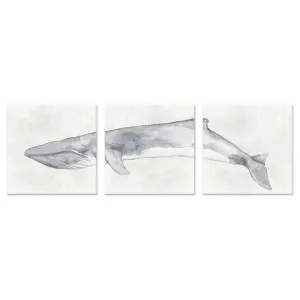 Whale, Set Of 3 by Gioia Wall Art, a Prints for sale on Style Sourcebook