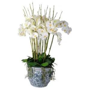 Aviary Artificial Orchid in Porcelain Pot, White Flower by Florabelle, a Plants for sale on Style Sourcebook
