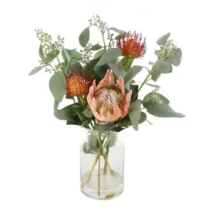 Lynne Artificial Protea & Eucalyptus Arrangement in Glass Vase by Florabelle, a Plants for sale on Style Sourcebook