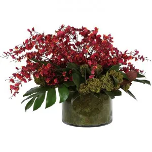 Lanai Artificial Dancing Orchid Arrangement in Glass Vase, Red Flower by Florabelle, a Plants for sale on Style Sourcebook