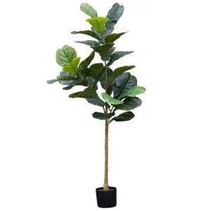 Glamorous Fusion Potted Artificial Fiddle Leaf Fig Tree, 152cm by Glamorous Fusion, a Plants for sale on Style Sourcebook