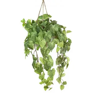 Glamorous Fusion Artificial Potato Bush in Hanging Pot, 110cm by Glamorous Fusion, a Plants for sale on Style Sourcebook