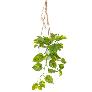 Glamorous Fusion Artificial Pothos in Hanging Pot, 62cm by Glamorous Fusion, a Plants for sale on Style Sourcebook