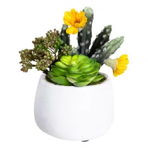 Glamorous Fusion Artificial Sedum & Cactus Arrangement in Pot, 20cm by Glamorous Fusion, a Plants for sale on Style Sourcebook