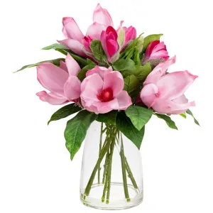 Stella Artificial Magnolia in Vase, Pink Flower, 35cm by Glamorous Fusion, a Plants for sale on Style Sourcebook
