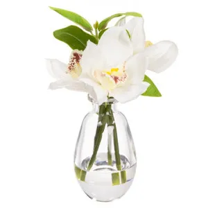 Eryer Artificial Cymbidium Orchid in Bottle Vase, 22cm by Glamorous Fusion, a Plants for sale on Style Sourcebook