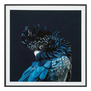 Australian Cockatoo Framed Print in 68 x 68cm by OzDesignFurniture, a Prints for sale on Style Sourcebook