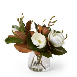 Magnolia Mix  - Alma Vase - 45 x 45 x 45cm by Elme Living, a Plants for sale on Style Sourcebook