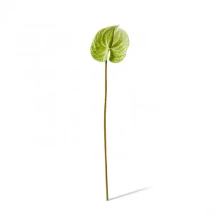 Anthurium Stem - 15 x 16 x 70cm by Elme Living, a Plants for sale on Style Sourcebook