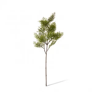 Cypress Spray - 20 x 16 x 61cm by Elme Living, a Plants for sale on Style Sourcebook