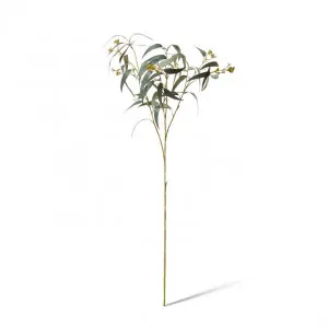 Eucalyptus Seeding Spray - 40 x 30 x 90cm by Elme Living, a Plants for sale on Style Sourcebook