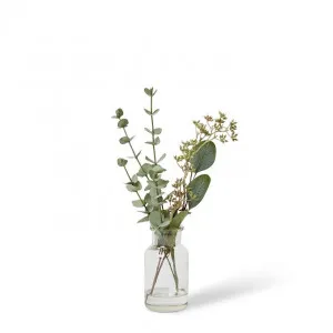 Eucalyptus Seed Mix  - Specimen Bottle - 18 x 18 x 40cm by Elme Living, a Plants for sale on Style Sourcebook