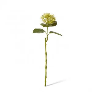 Hydrangea Seeding Stem - 25 x 20 x 61cm by Elme Living, a Plants for sale on Style Sourcebook