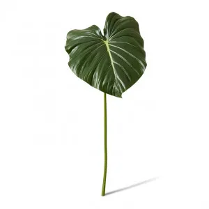 Philodendron Leaf Stem - 42 x 36 x 96cm by Elme Living, a Plants for sale on Style Sourcebook