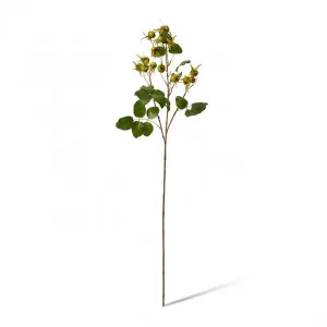 Rosehip Spray - 25 x 18 x 86cm by null, a Plants for sale on Style Sourcebook