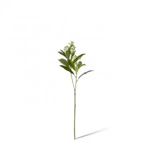 Skimmia Seeding Spray - 18 x 10 x 43cm by Elme Living, a Plants for sale on Style Sourcebook