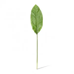 Spath Leaf Stem - 46 x 18 x 100cm by Elme Living, a Plants for sale on Style Sourcebook