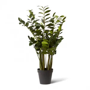 Zanzibar Plant - 80 x 80 x 137cm by Elme Living, a Plants for sale on Style Sourcebook