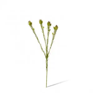 Clubmoss Spray - 8 x 6 x 46cm by Elme Living, a Plants for sale on Style Sourcebook