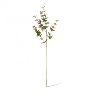 Eucalyptus Spray - 25 x 14 x 86cm by Elme Living, a Plants for sale on Style Sourcebook