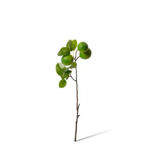 Lime Branch Spray - 26 x 13 x 51cm by Elme Living, a Plants for sale on Style Sourcebook