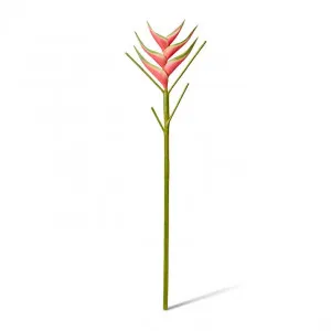 Heliconia Stem - 220 x 20 x 86cm by Elme Living, a Plants for sale on Style Sourcebook