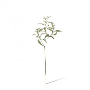 Eucalyptus Seeding Spray - 25 x 18 x 61cm by Elme Living, a Plants for sale on Style Sourcebook