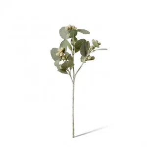Eucy Gum Nut Spray - 26 x 14 x 61cm by Elme Living, a Plants for sale on Style Sourcebook