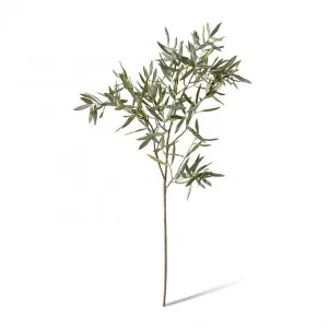 Olive Branch - 50 x 40 x 120cm by Elme Living, a Plants for sale on Style Sourcebook