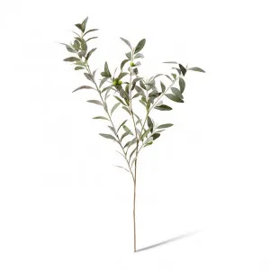 Olive Leaf Branch - 46 x 20 x 114cm by Elme Living, a Plants for sale on Style Sourcebook