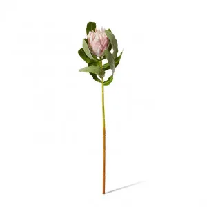 Protea Stem - 18 x 18 x 71cm by Elme Living, a Plants for sale on Style Sourcebook